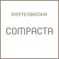 Compacta