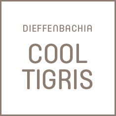 Cool Tigris